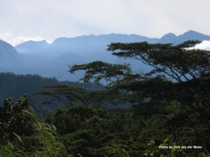 Lush Panama Mountain Vista