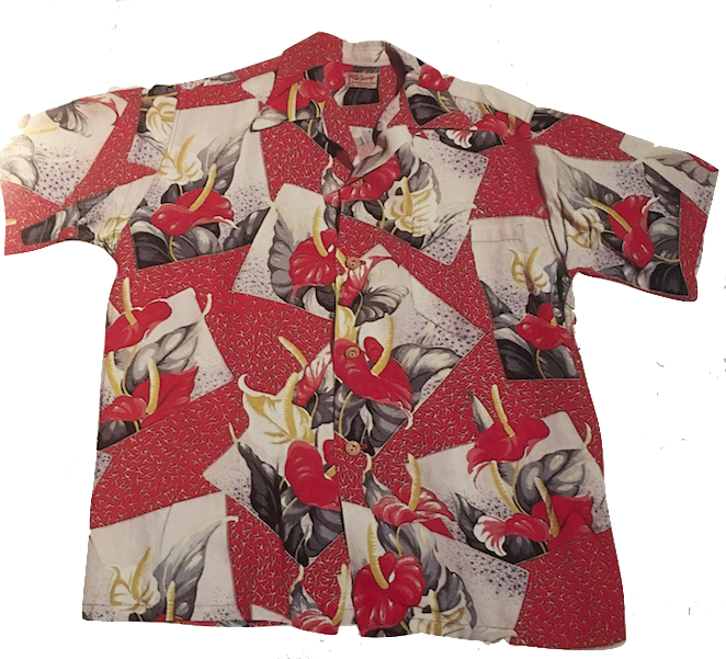 The Aloha Shirt - Subjects for Seniors